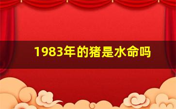 1983年的猪是水命吗