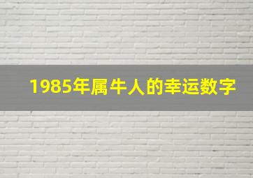 1985年属牛人的幸运数字