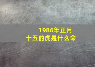 1986年正月十五的虎是什么命