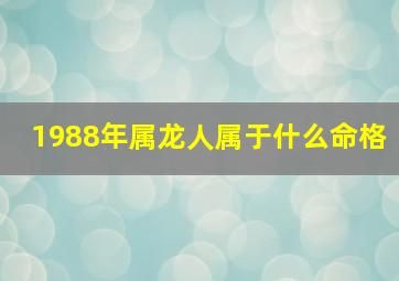 1988年属龙人属于什么命格