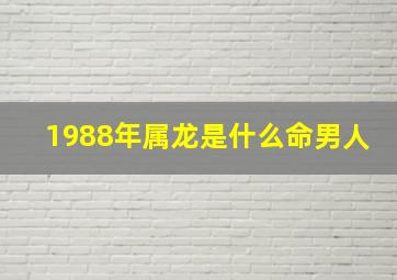 1988年属龙是什么命男人