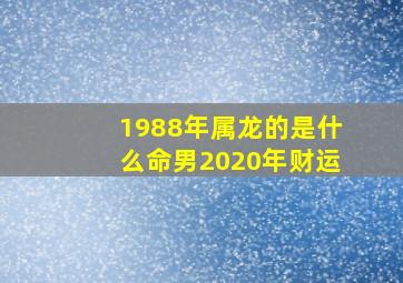 1988年属龙的是什么命男2020年财运