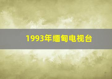 1993年缅甸电视台