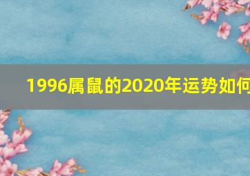 1996属鼠的2020年运势如何