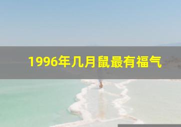 1996年几月鼠最有福气