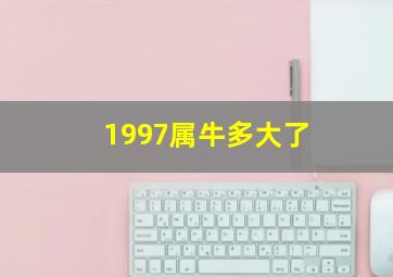 1997属牛多大了