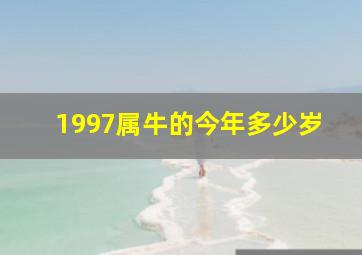 1997属牛的今年多少岁