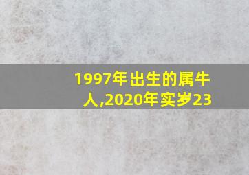 1997年出生的属牛人,2020年实岁23