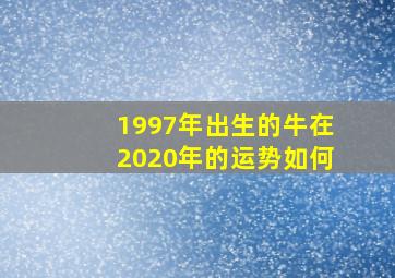 1997年出生的牛在2020年的运势如何