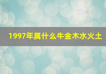 1997年属什么牛金木水火土