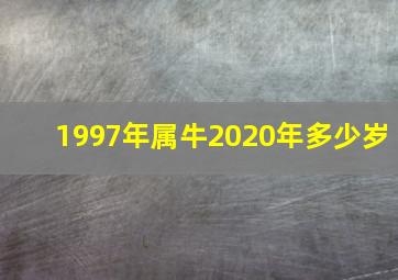 1997年属牛2020年多少岁