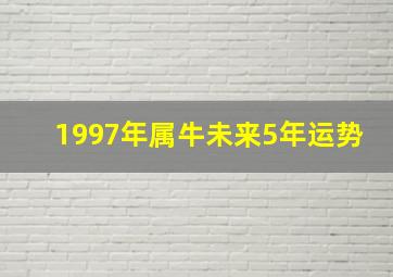 1997年属牛未来5年运势