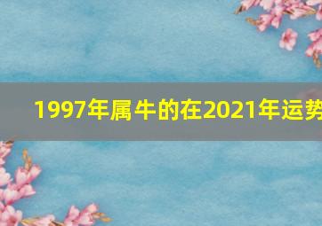 1997年属牛的在2021年运势