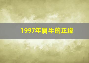 1997年属牛的正缘