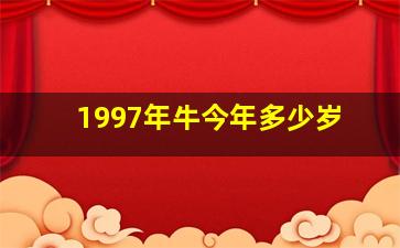 1997年牛今年多少岁