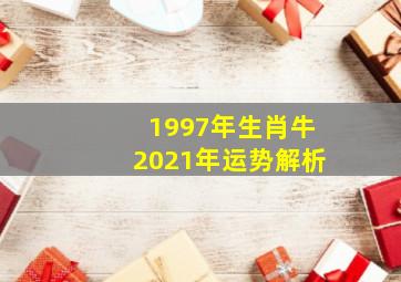 1997年生肖牛2021年运势解析