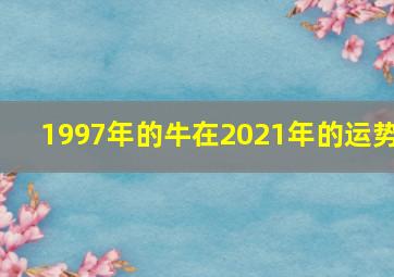 1997年的牛在2021年的运势