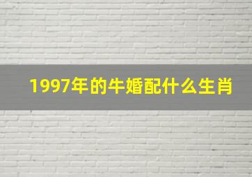 1997年的牛婚配什么生肖