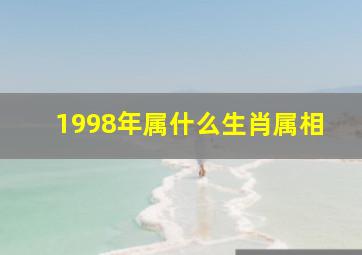 1998年属什么生肖属相