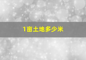 1亩土地多少米