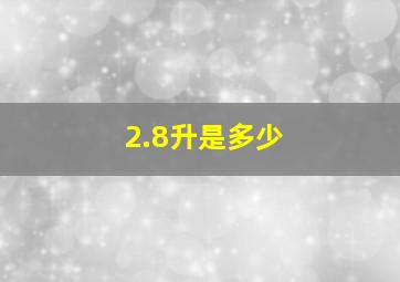 2.8升是多少