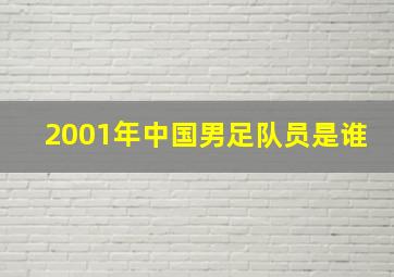 2001年中国男足队员是谁