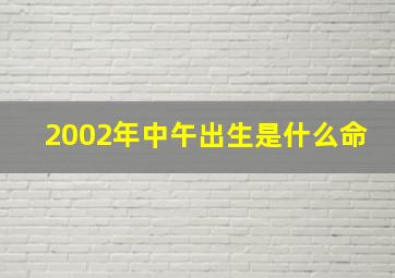 2002年中午出生是什么命