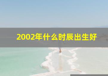 2002年什么时辰出生好