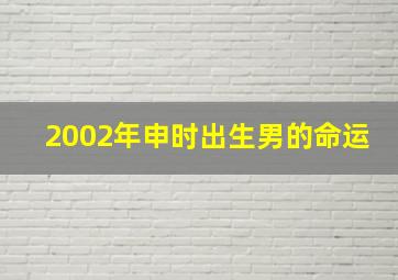 2002年申时出生男的命运