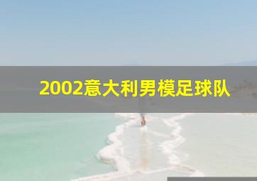 2002意大利男模足球队