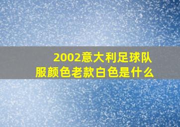 2002意大利足球队服颜色老款白色是什么