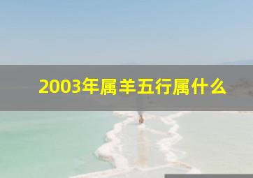 2003年属羊五行属什么