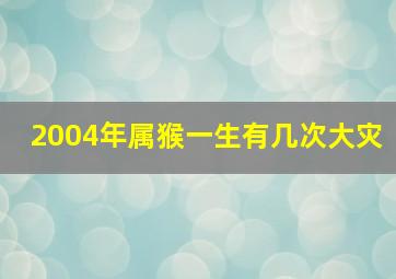 2004年属猴一生有几次大灾