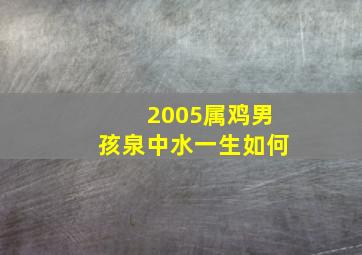 2005属鸡男孩泉中水一生如何