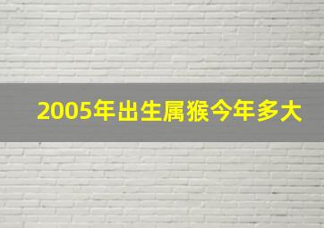 2005年出生属猴今年多大