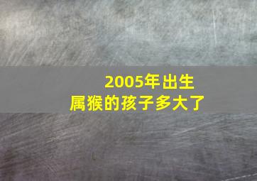 2005年出生属猴的孩子多大了