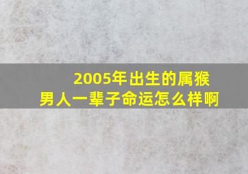 2005年出生的属猴男人一辈子命运怎么样啊