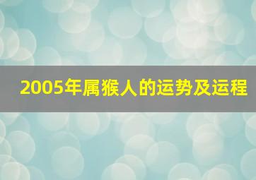 2005年属猴人的运势及运程