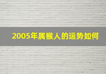 2005年属猴人的运势如何