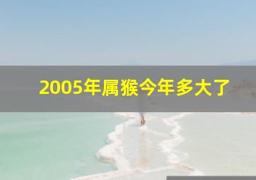 2005年属猴今年多大了