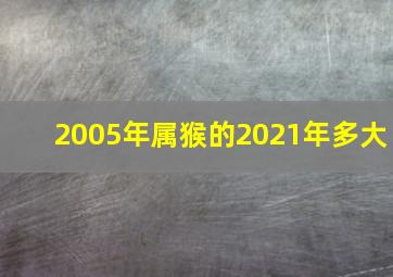 2005年属猴的2021年多大