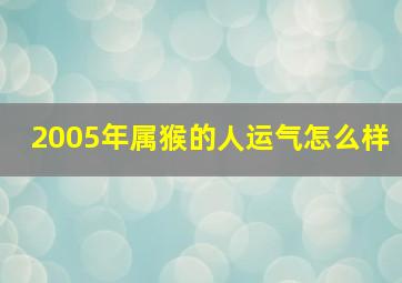 2005年属猴的人运气怎么样