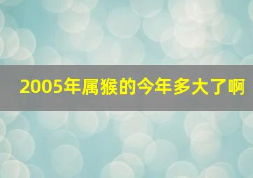 2005年属猴的今年多大了啊