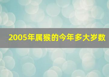 2005年属猴的今年多大岁数