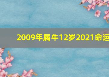 2009年属牛12岁2021命运