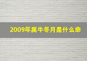 2009年属牛冬月是什么命