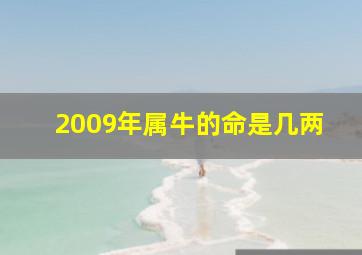 2009年属牛的命是几两