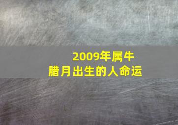 2009年属牛腊月出生的人命运