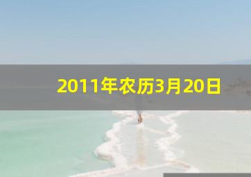 2011年农历3月20日