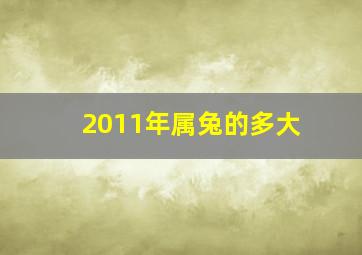 2011年属兔的多大